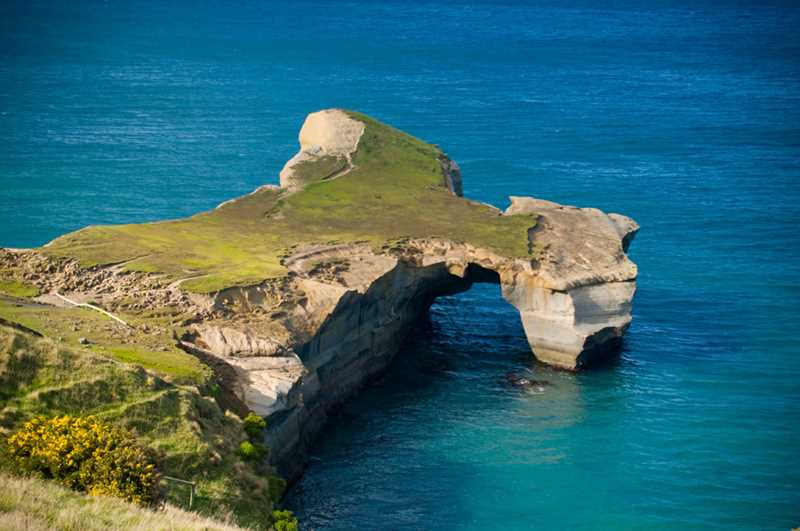 EXCLUSIVE PRICING! 4Nts Indian Pacific Rail from Perth & Cruise Australasia, Holland America