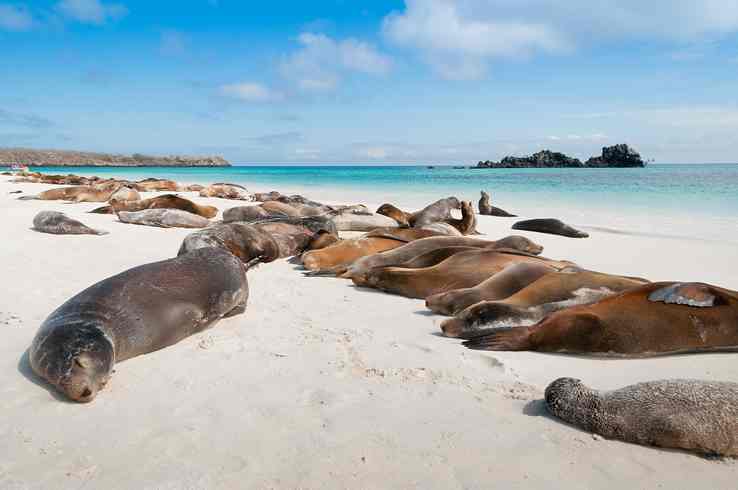 Galapagos from Baltra, Silversea Cruises, 7th July 2022 – Planet Cruise